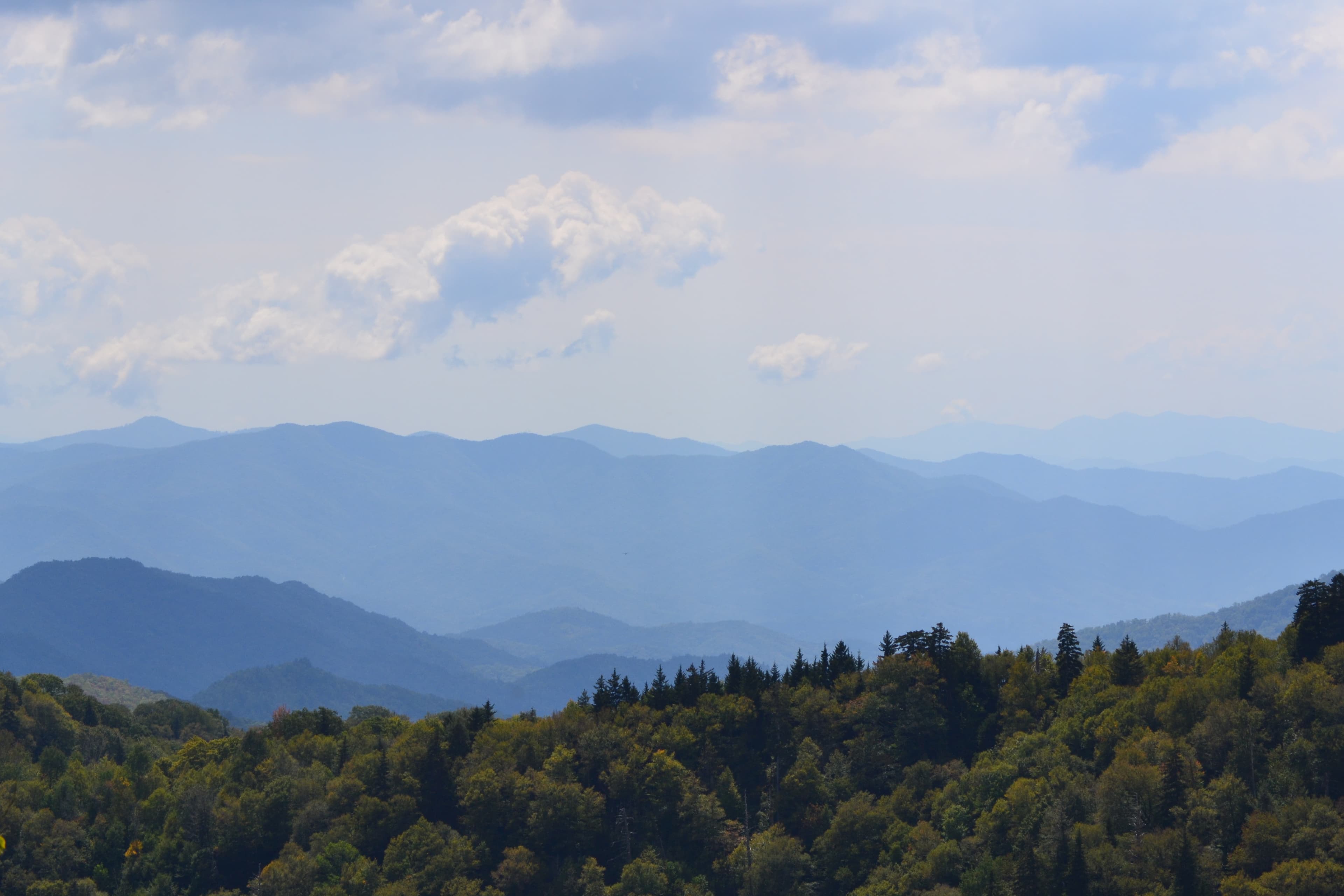 Smokies Landscape 2