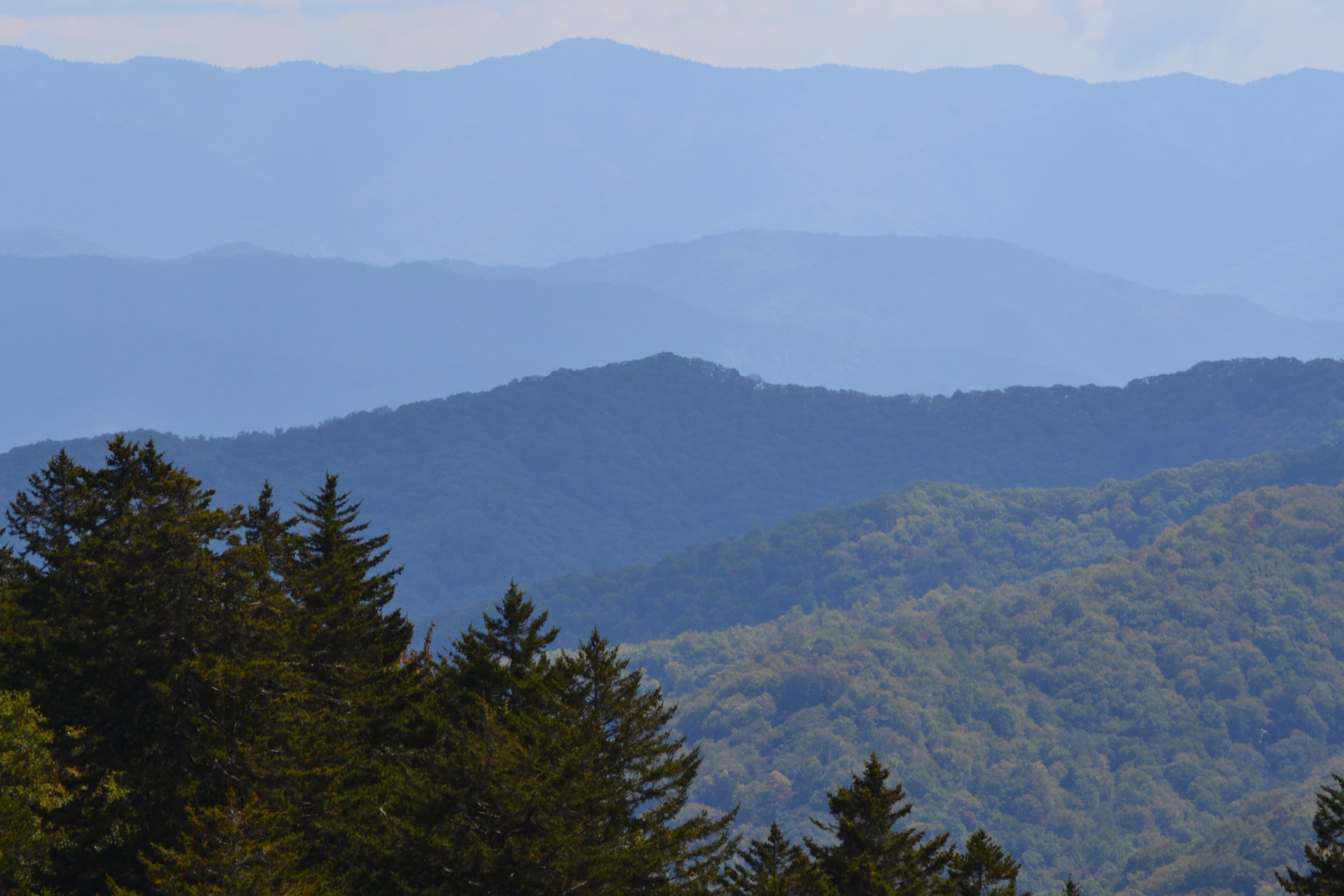 Smokies Landscape 3