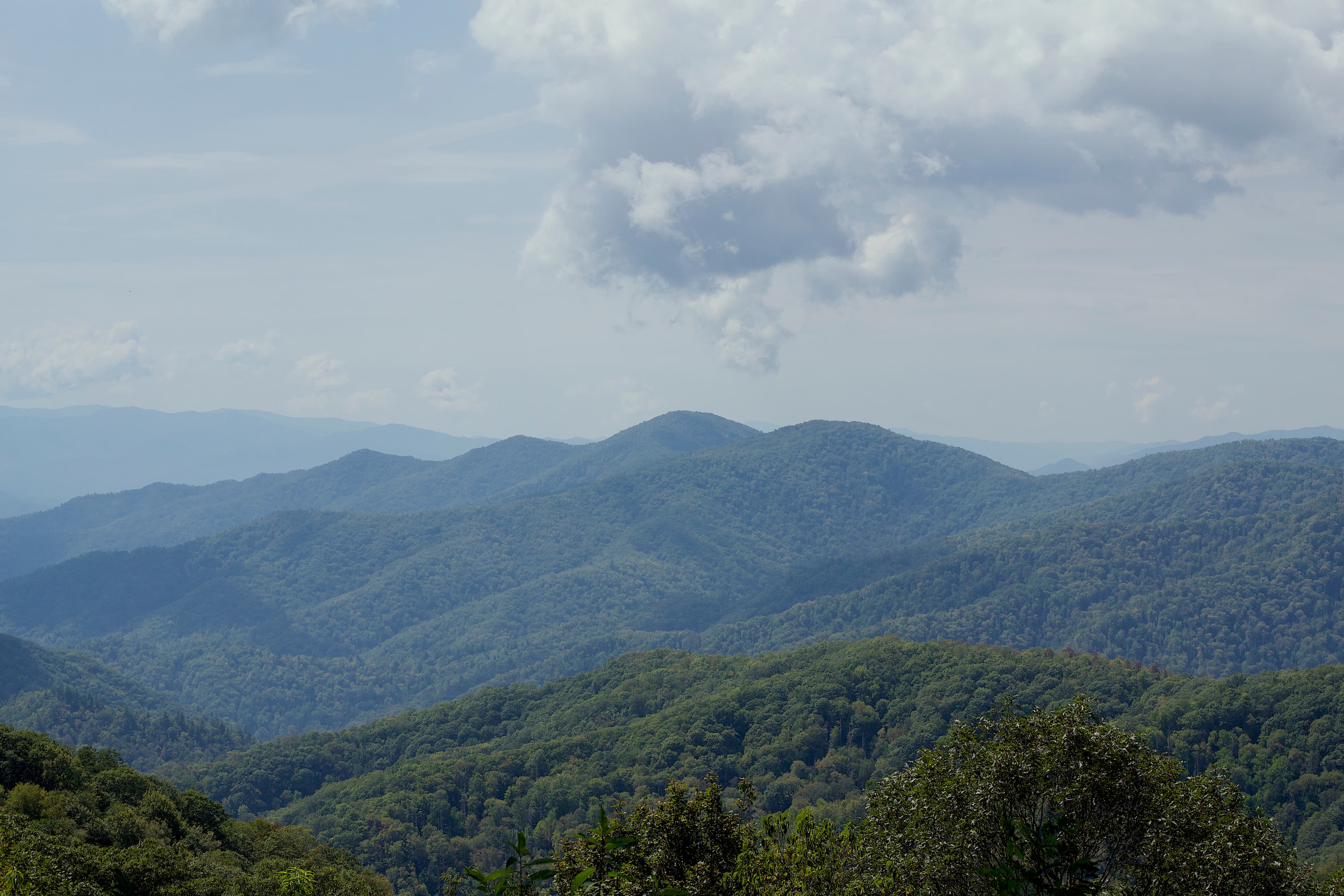 Smokies Landscape